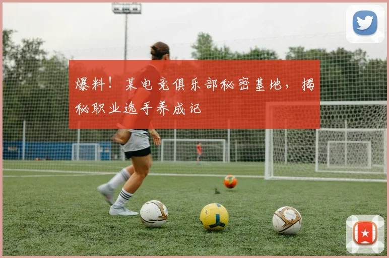 爆料！某电竞俱乐部秘密基地，揭秘职业选手养成记